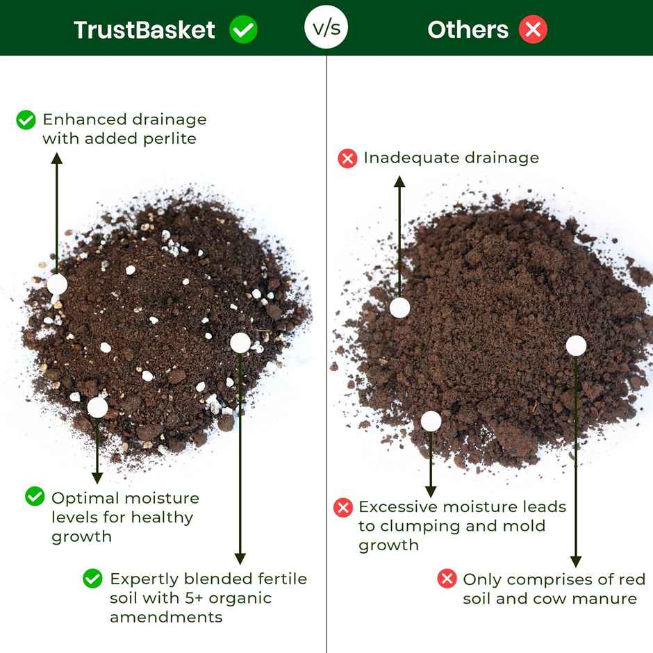 TrustBasket Enriched organic Earth Magic Potting Soil Fertilizer for Plants, 5 Kg