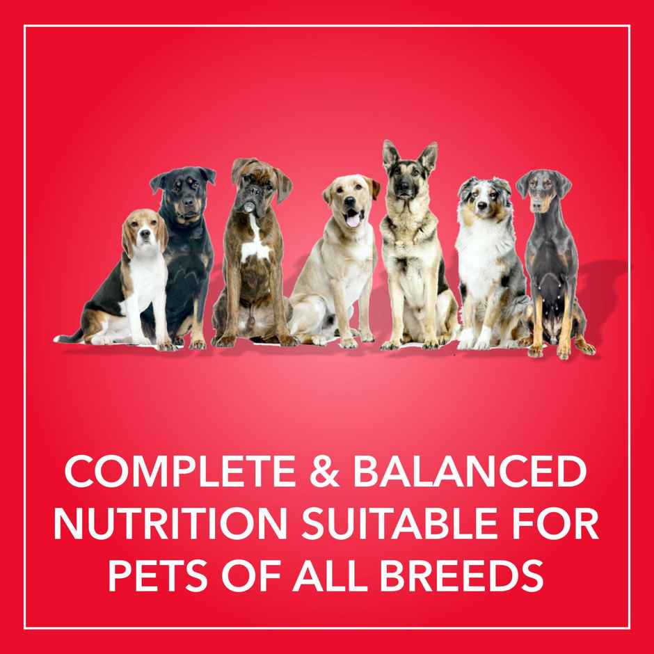 Purepet Meat And Rice Adult Dog FOOD