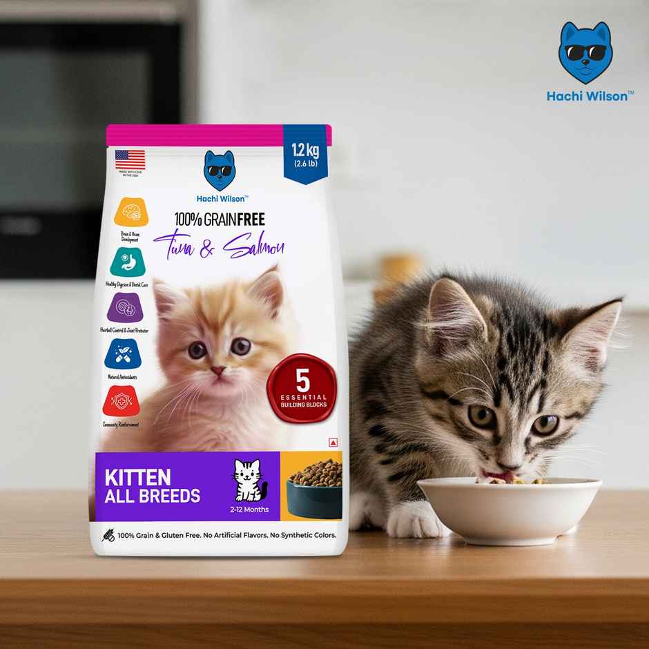 Hachi Wilson Premium Kitten Dry Food | Tuna and Salmon Flavours