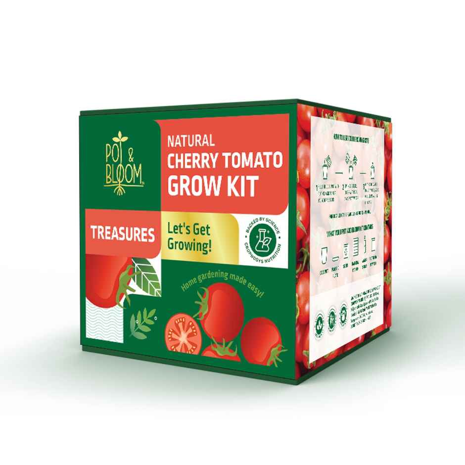 Pot And Bloom Treasures Cherry Tomato Grow Kit