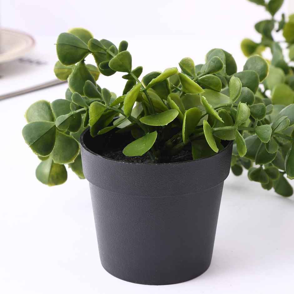 TIED RIBBONS Hanging Eucalyptus Artificial Plant with Pot