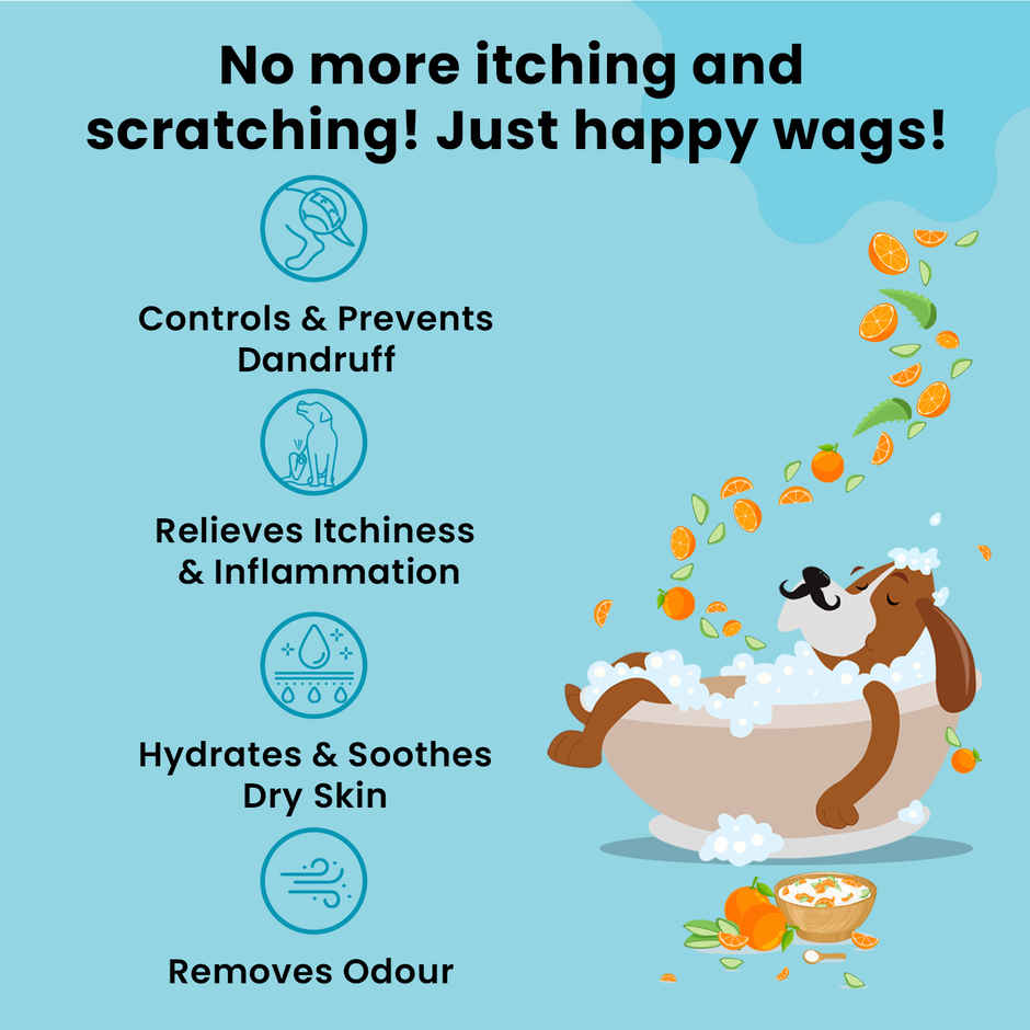 Petterati Dandruff & Itch Control Dog Shampoo Relieves Itching & Soothes