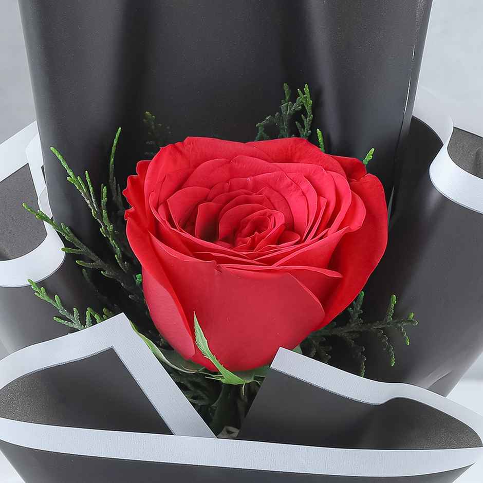 Snickers Best Of Our Minis Chocolate Gift Tin | Gifting Treat | Snickers (133g) & Fnp Single Red Rose Bouquet (1pc) Combo 