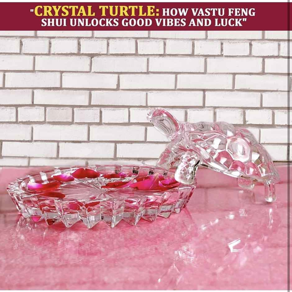 Perpetual Glass Turtle Plate | Feng Shui Tortoise | Good Luck Turtle Vastu Gift | Home Decoration