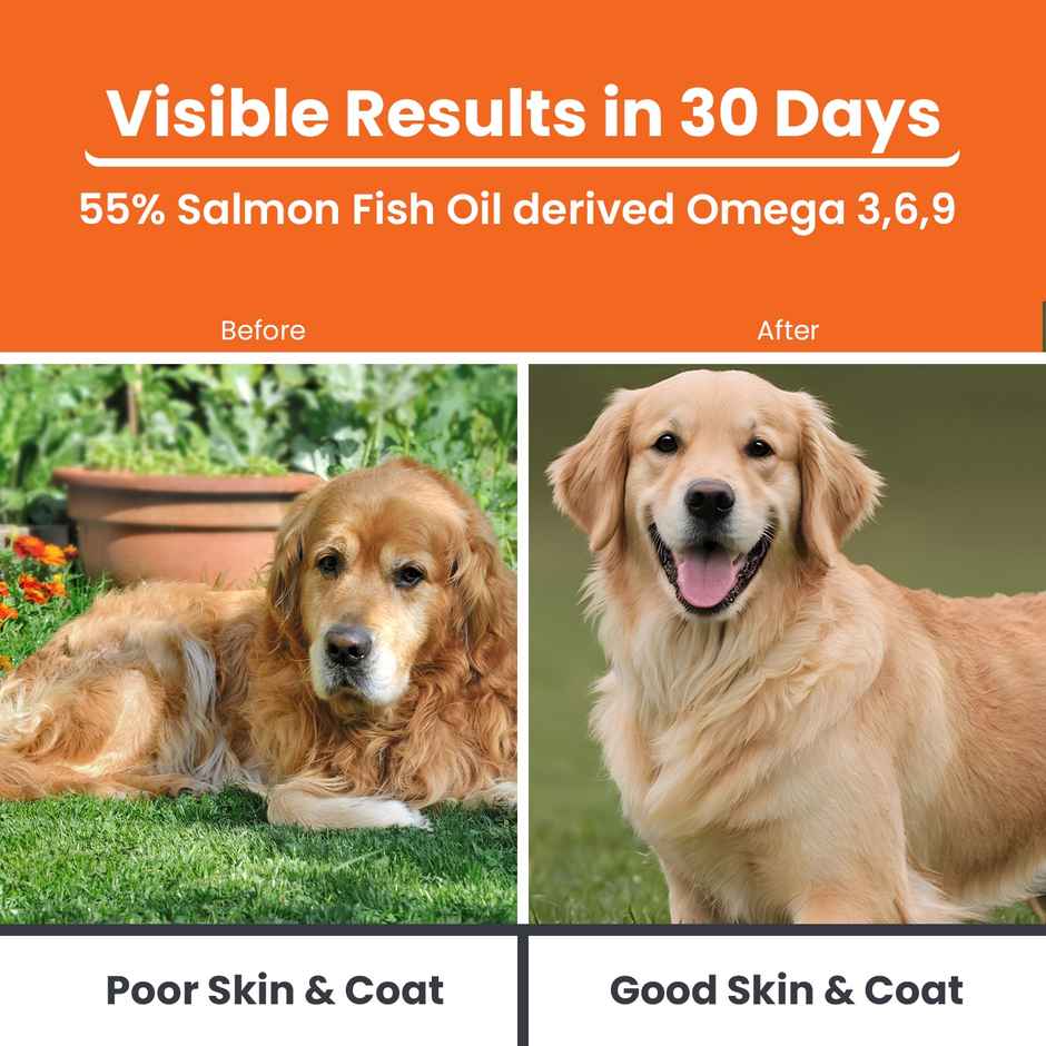 LICKICIOUS Omega 3 6 9 Salmon Oil - Skin & Coat Cat & Dog Supplement Syrup