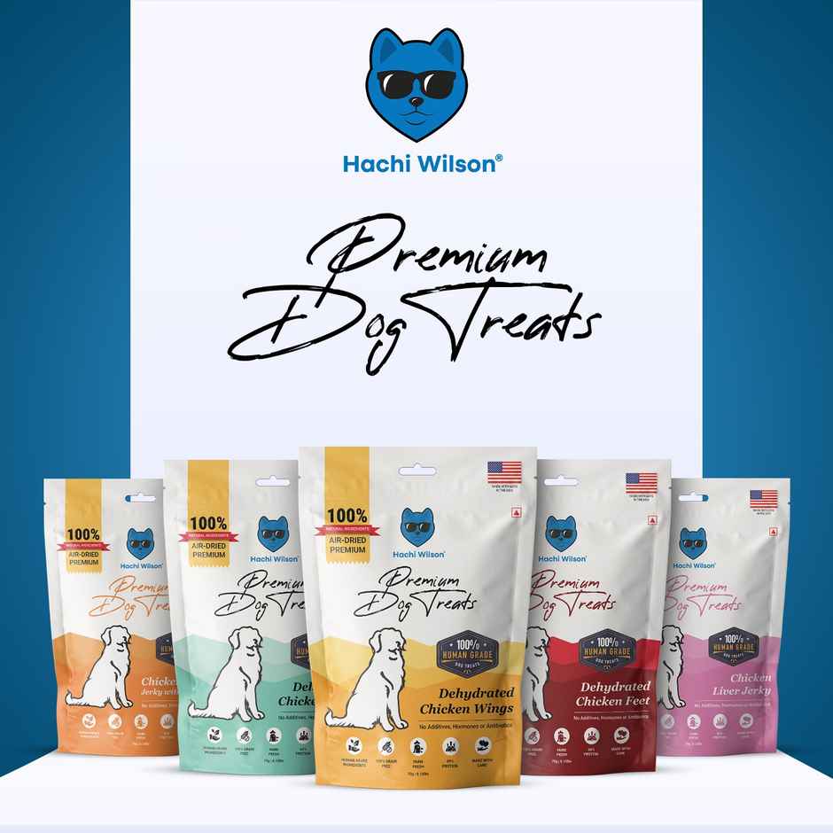 Hachi Wilson Premium Dog Treat Dehydrated Chicken Wings