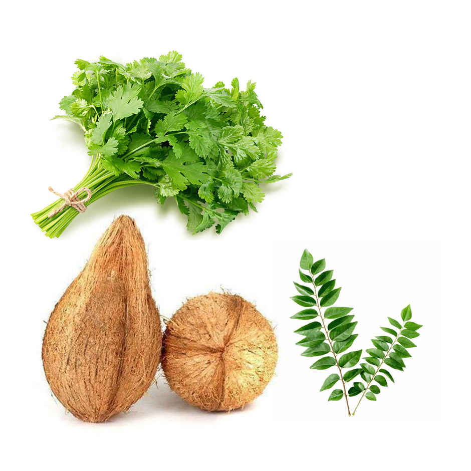 Chutney Combo (coconut,corriander,curry leaves)