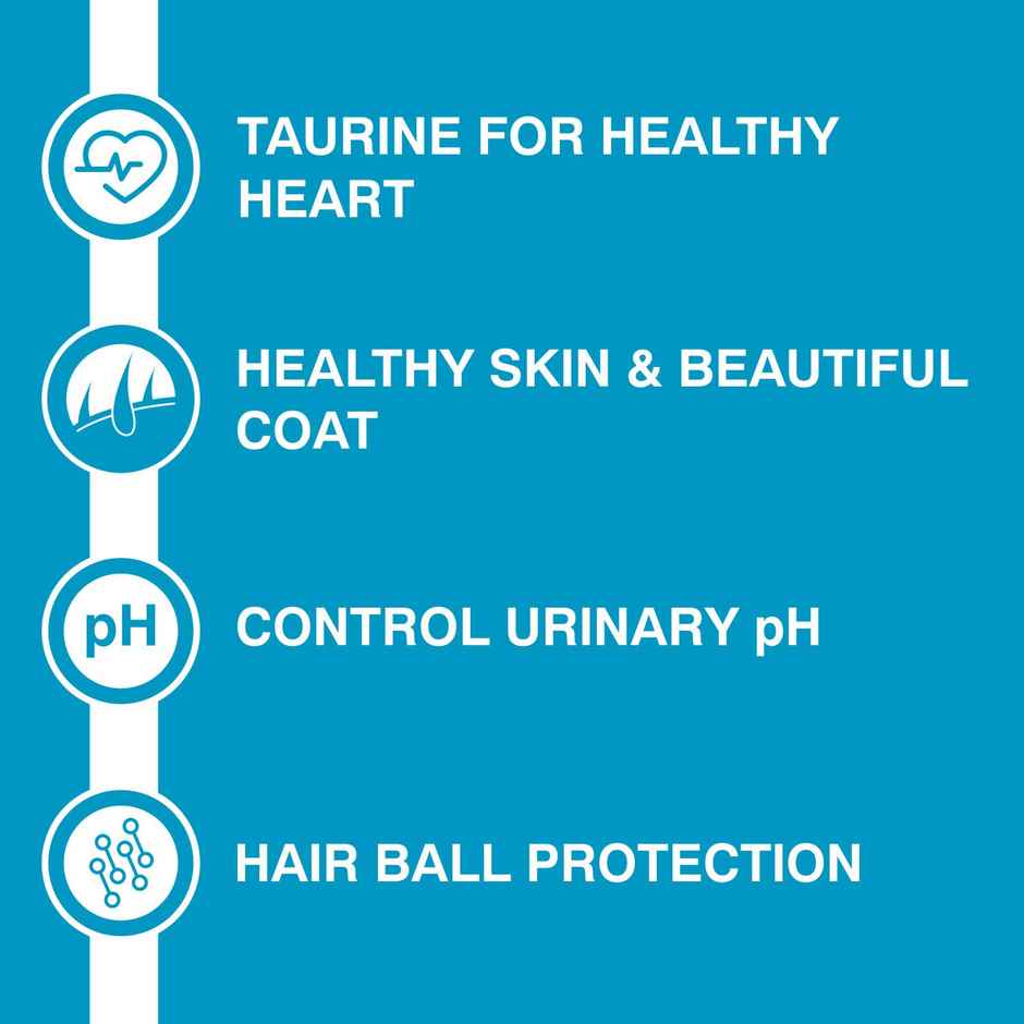 Purepet Ocean Fish Kitten Dry Cat Food