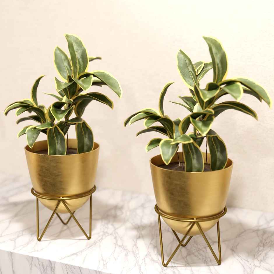 Lifelong Set of 2 Plant Stand for Balcony & Living Room Capacity 10Kg- Anti-Rust Pot Stand