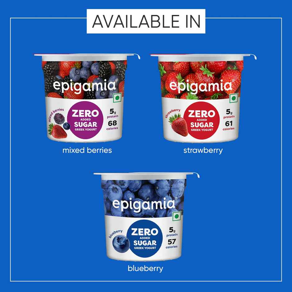 Epigamia No Added Sugar Blueberry Yogurt