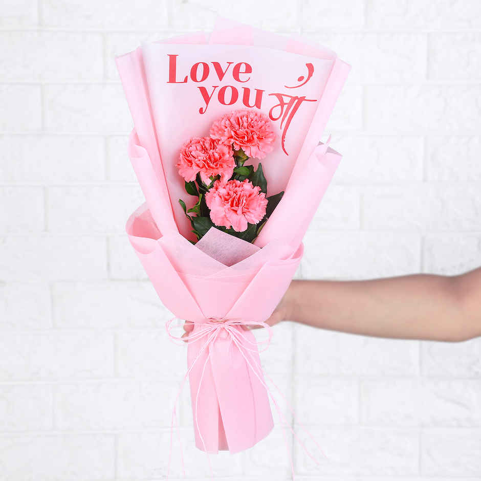 Fnp Mother's Day Love You Maa Carnations