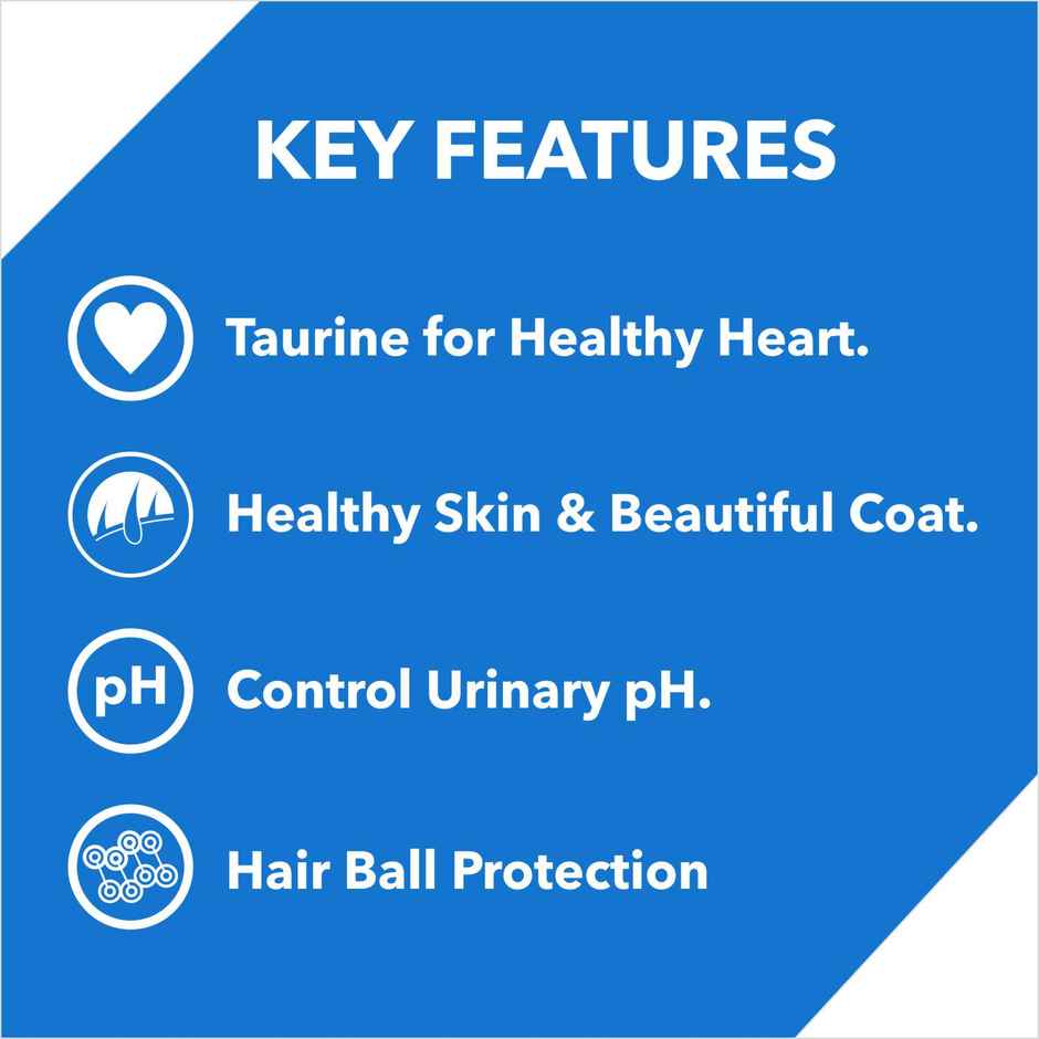 Drools Ocean Fish Adult  Dry Cat Food