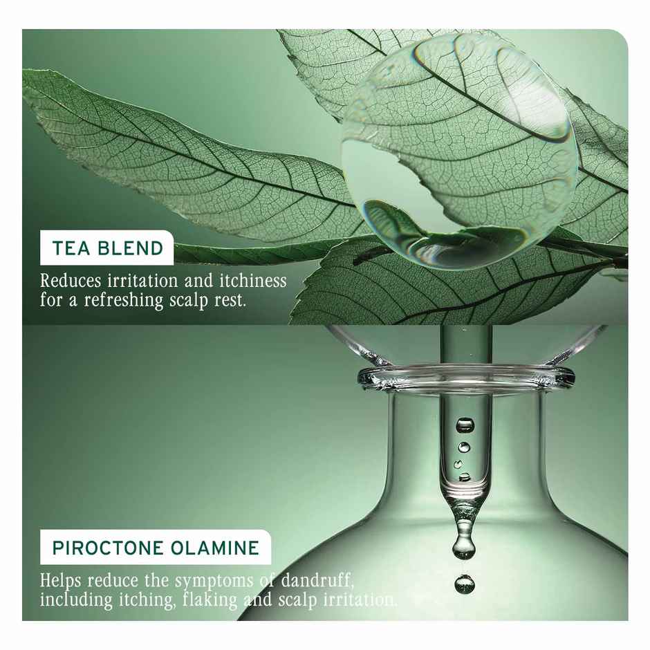 Biolage Scalp Sync Anti-Dandruff Shampoo | Removes Visible Flakes After 1st Wash