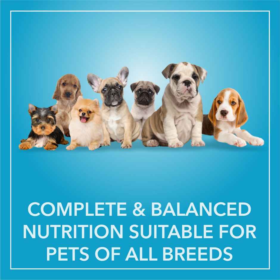 Purepet Chicken & Vegetable Puppy Dog Food