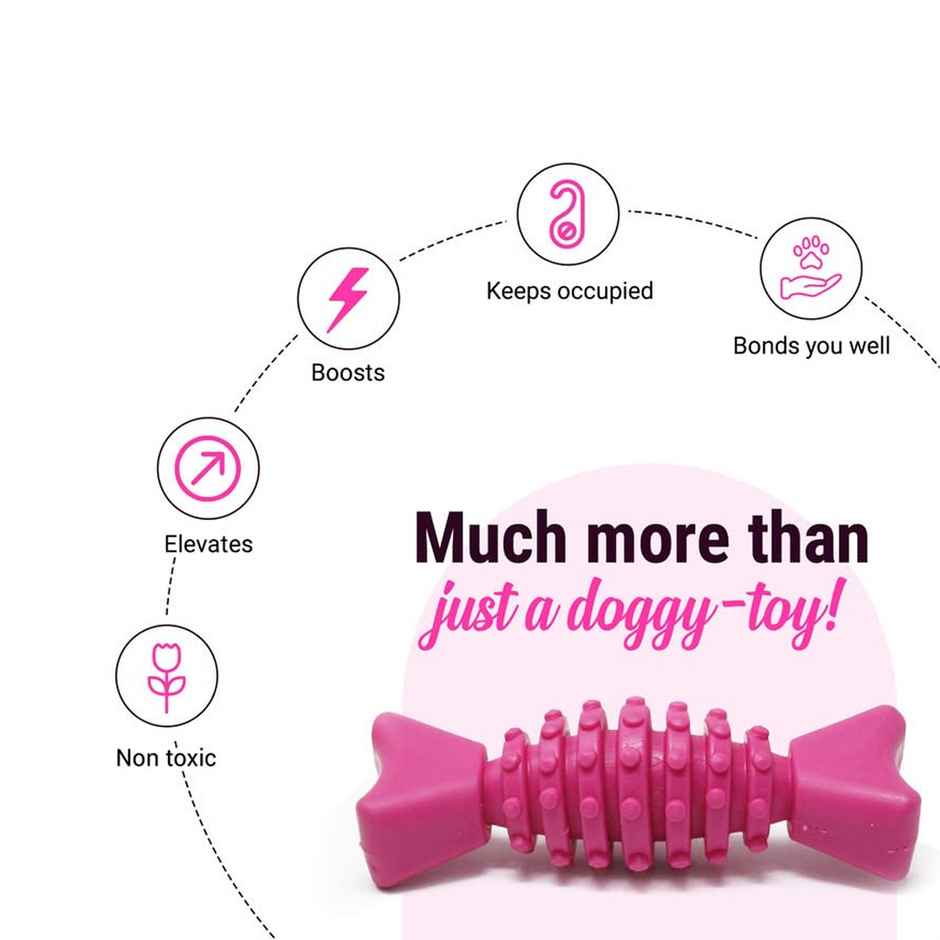 Urbanfix Pet Tether Toy | Heavy-Duty Long-Lasting Chew Toy for Active Dogs - Assorted