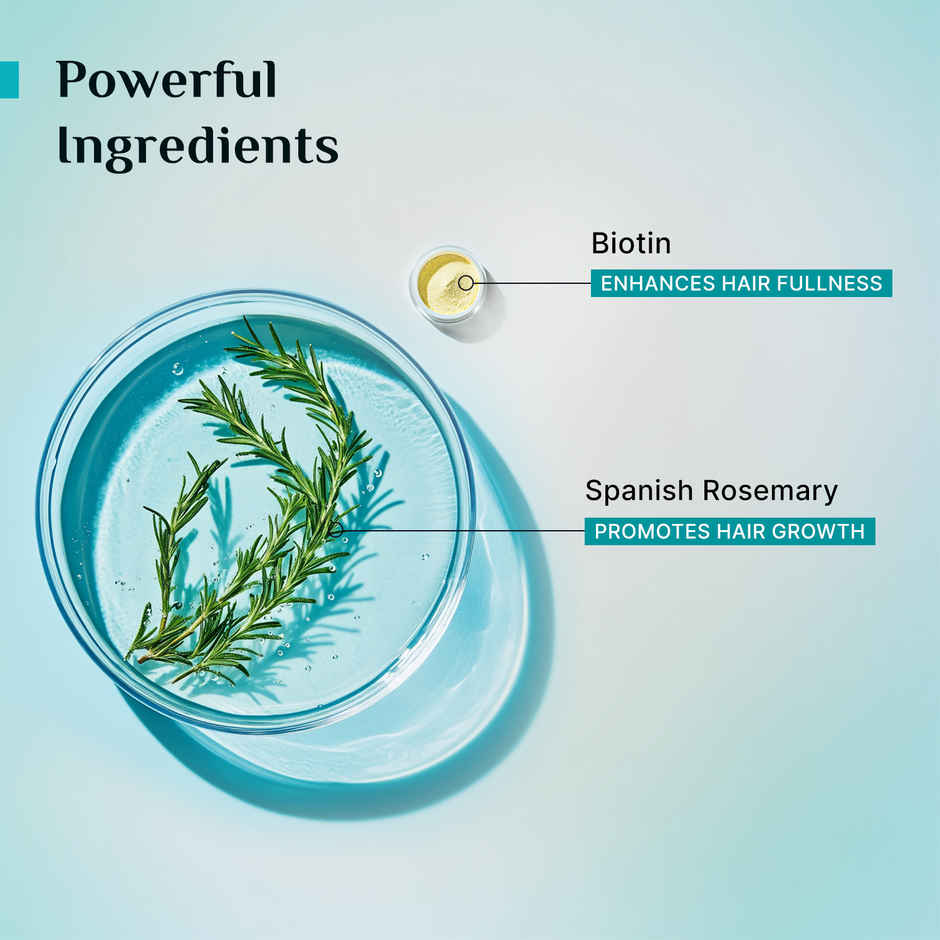 Pilgrim Rosemary & Biotin Anti Hairfall Shampoo for Reducing Hair Loss & Breakage