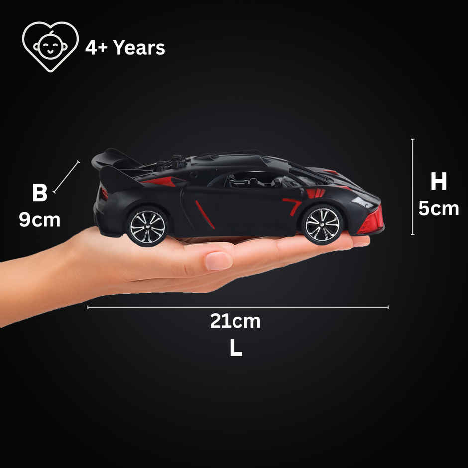 Frendo Hi Speed RC Car | Bug Black Matt