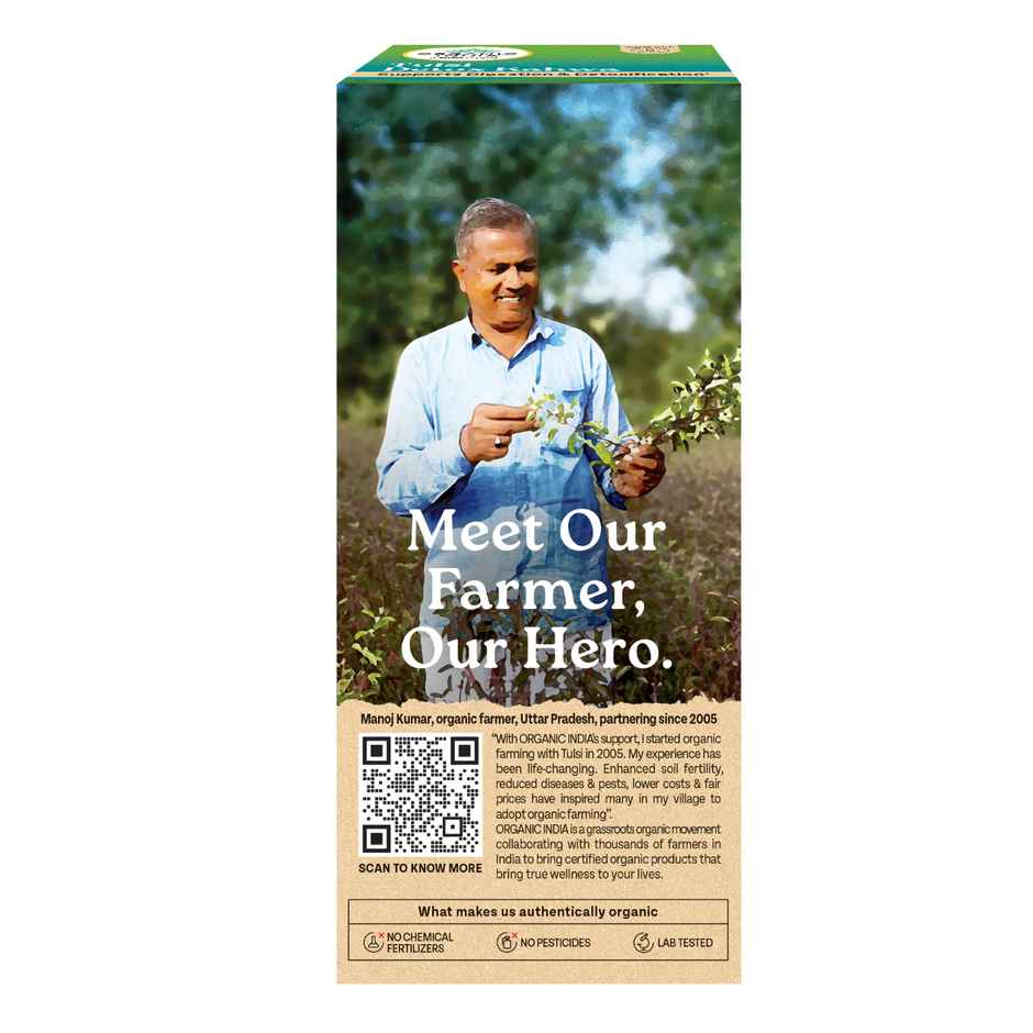 A TATA Product - Organic India Tulsi Detox Kahwa - 25 Tea Bags, Rich in Antioxidants