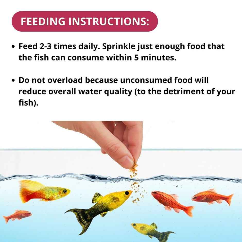 Optimum Fish Food Mini Pellet