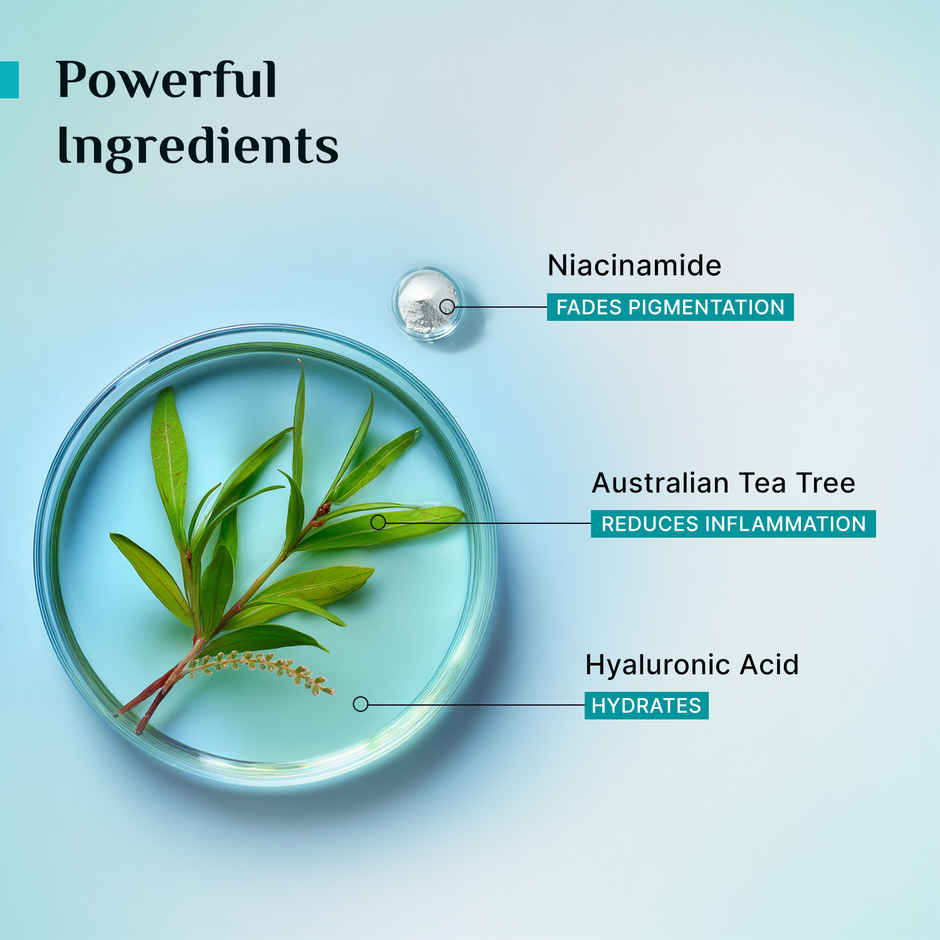 Pilgrim Tea Tree Purifying Toner