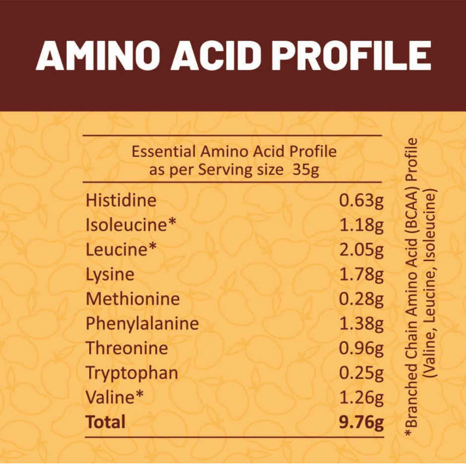 Ritebite Max Protein Alphanso Mango Plant Protein Powder