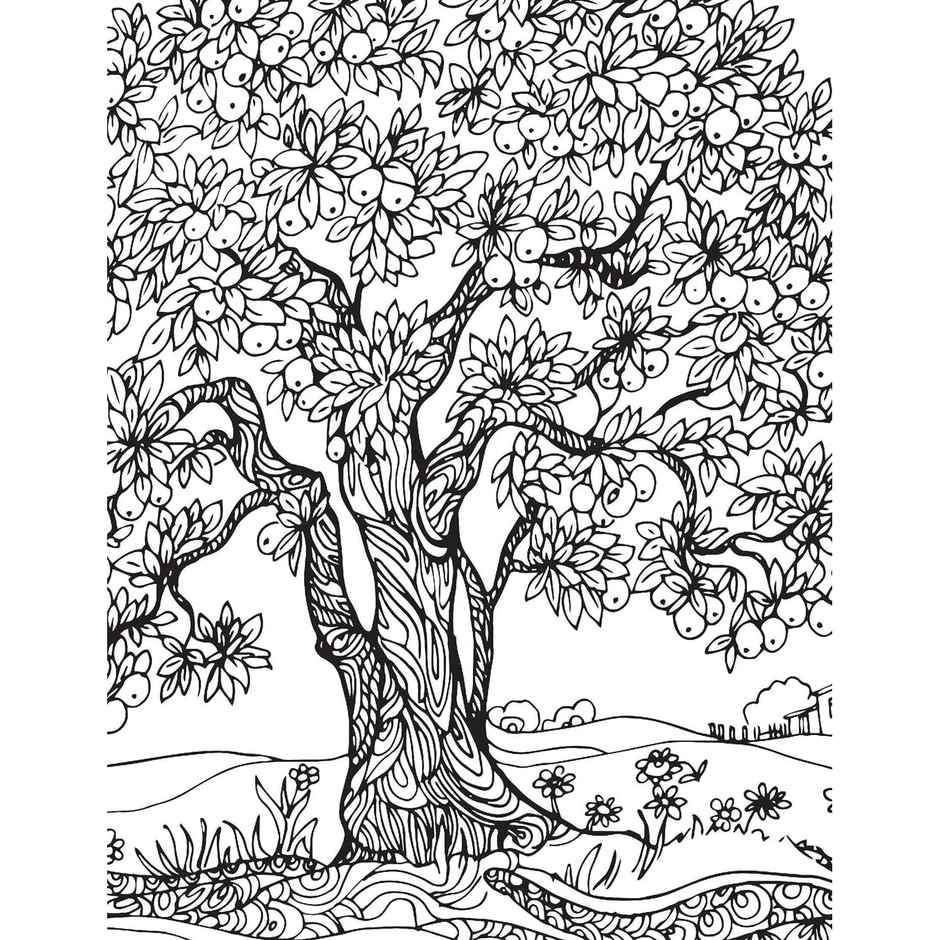 Countryside - Colouring Book for Adults | Book For Peace & Relaxation Coloring Book