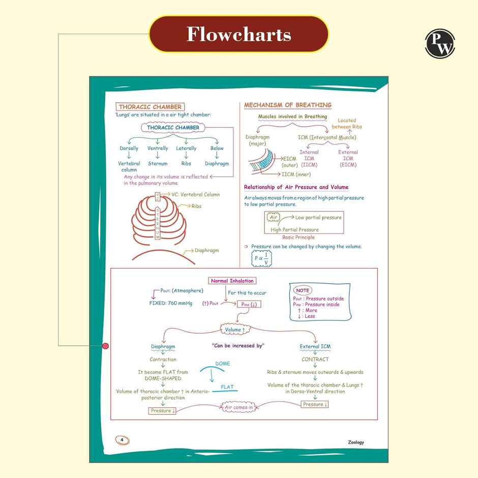 Botany Med Easy Dr. Vipin Sharma Handwritten Notes for NEET & Board Exams