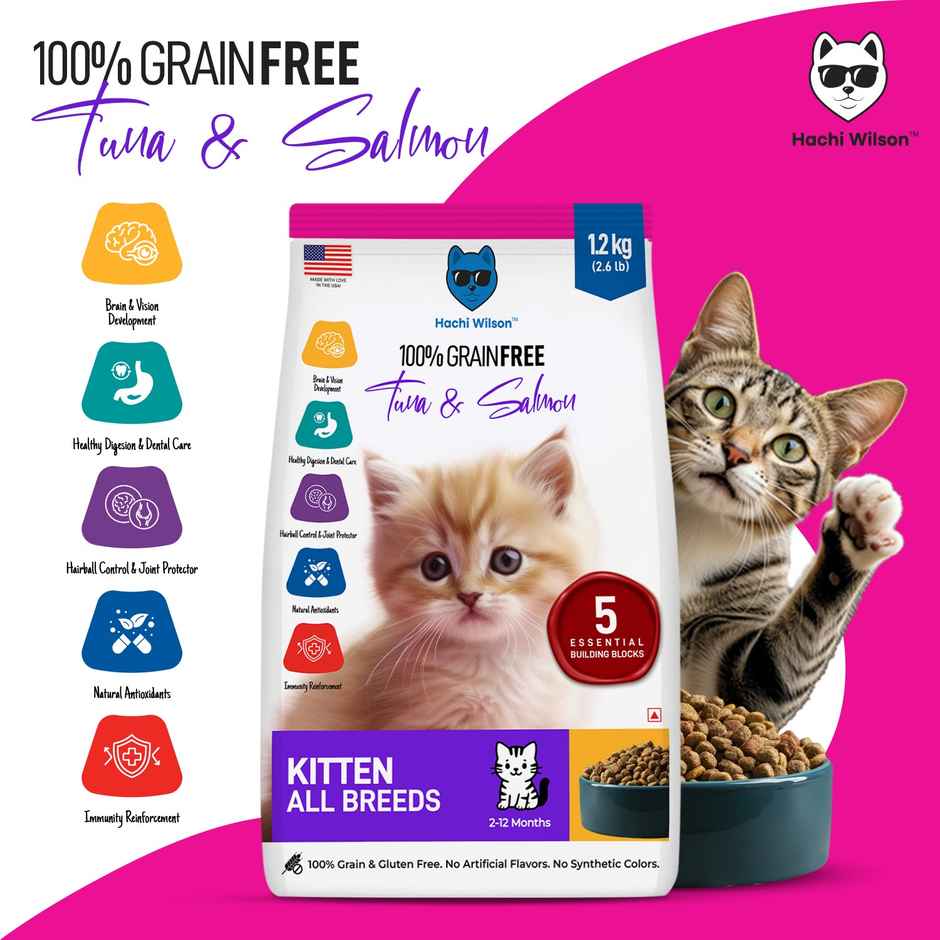Hachi Wilson Premium Kitten Dry Food | Tuna and Salmon Flavours