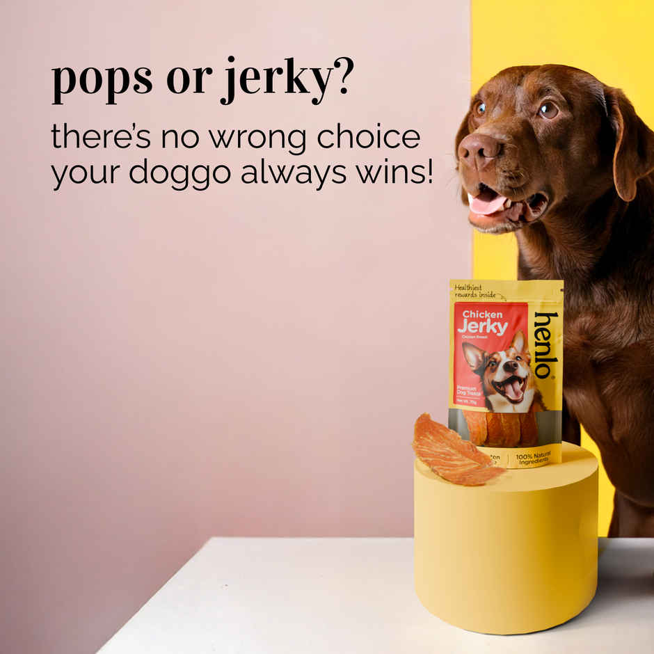 Henlo Chicken Pops Treat |Dog Treats |Treats |Crunchy|Chewy treat |Crispy treats |pet treats