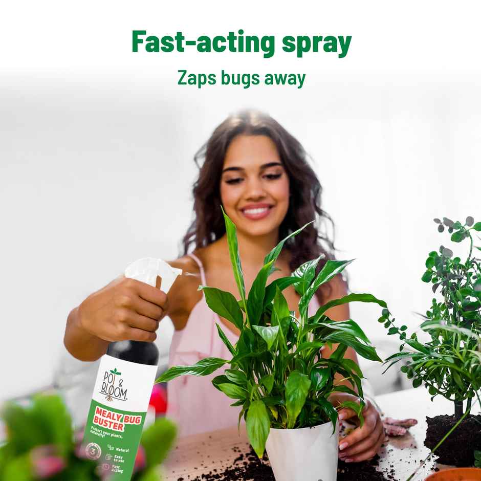 Pot And Bloom Mealy Bug Buster