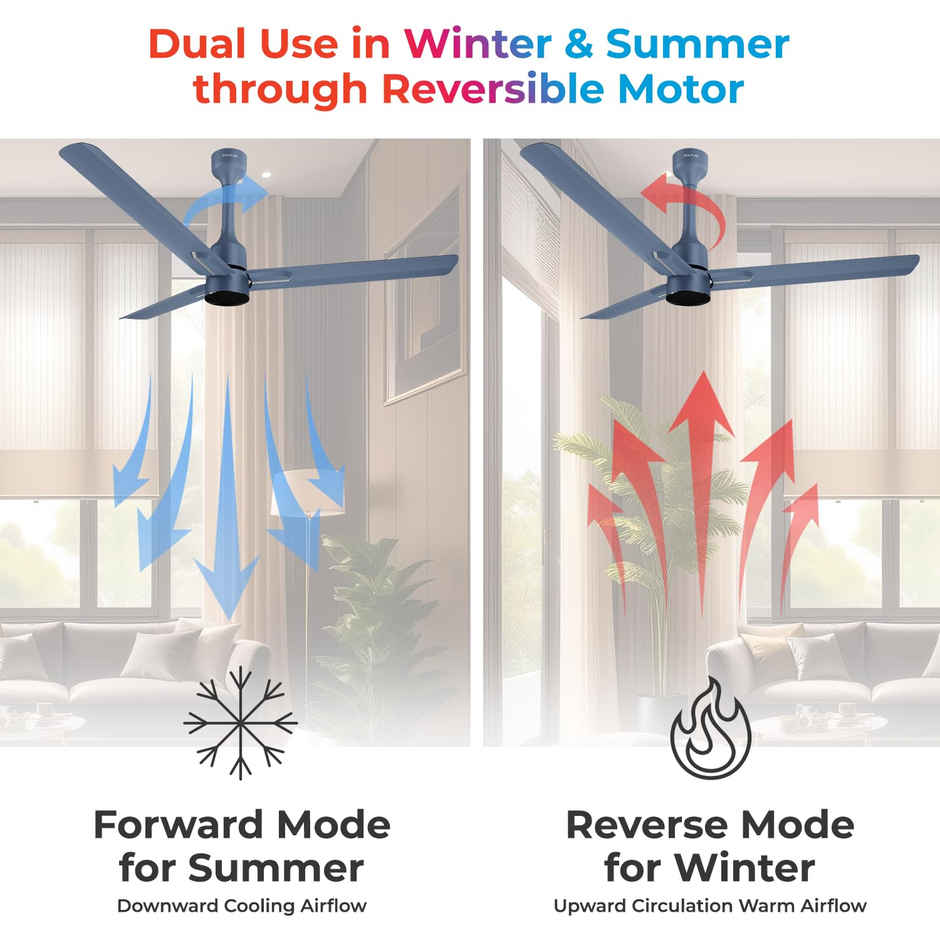 Polycab Wizzy Neo BLDC Ceiling fan, 1200mm, Remote Control, 5-Star, 6 Speed Setting, Blue Silver