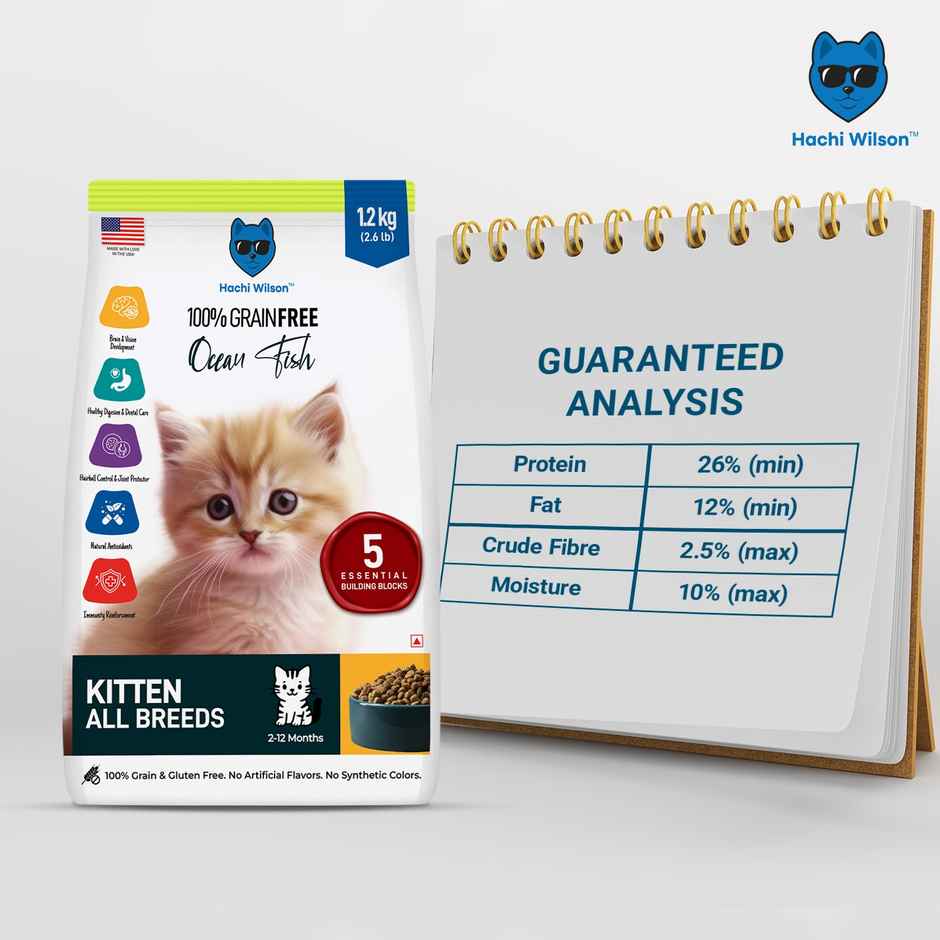 Hachi Wilson Premium Kitten Dry Food | Ocean Fish Flavours