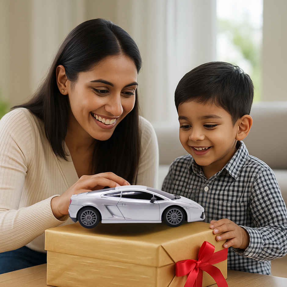 Frendo 1:24 Hi Speed Mini Remote Control Car | Lam Silver