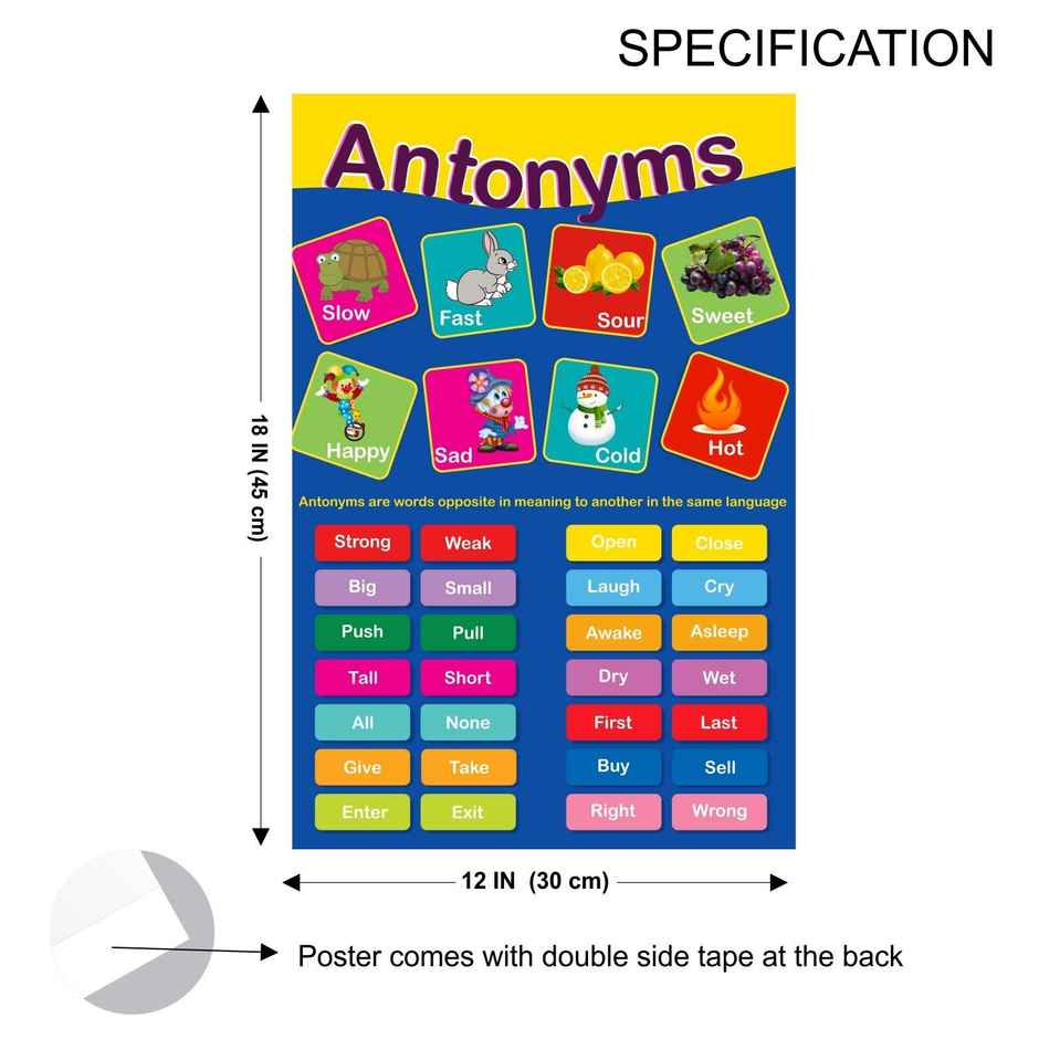 Paper Plane Design Kids Early Learning Educational Poster | Size 12 x 18 Inch | D9