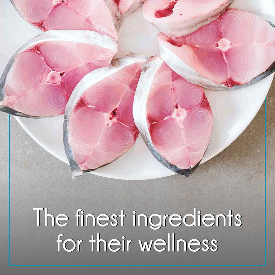 Purepet Ocean Fish Adult Dry Cat Food