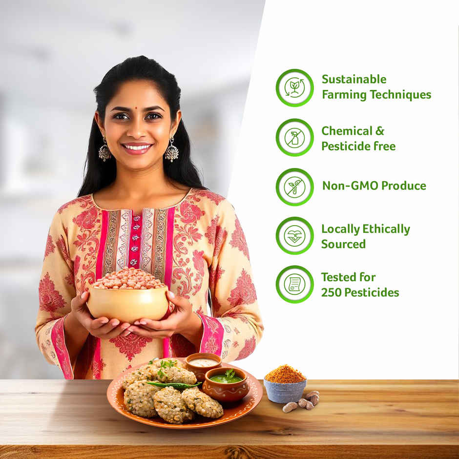 Organic Tattva Peanuts Pouch