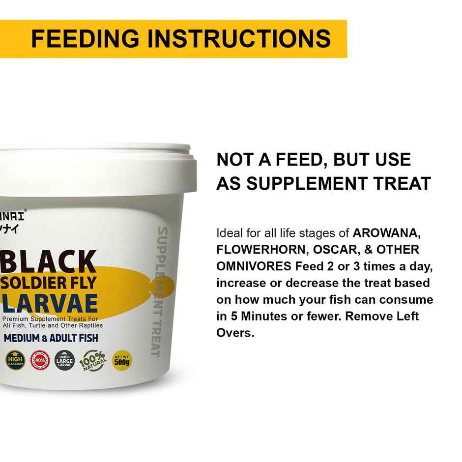 Tunai Bsf For All Fish And Turtles