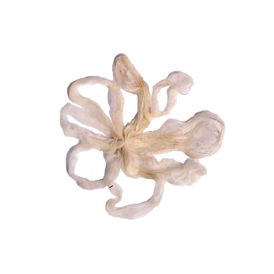 Jai Kashi Lotus Stem Wick