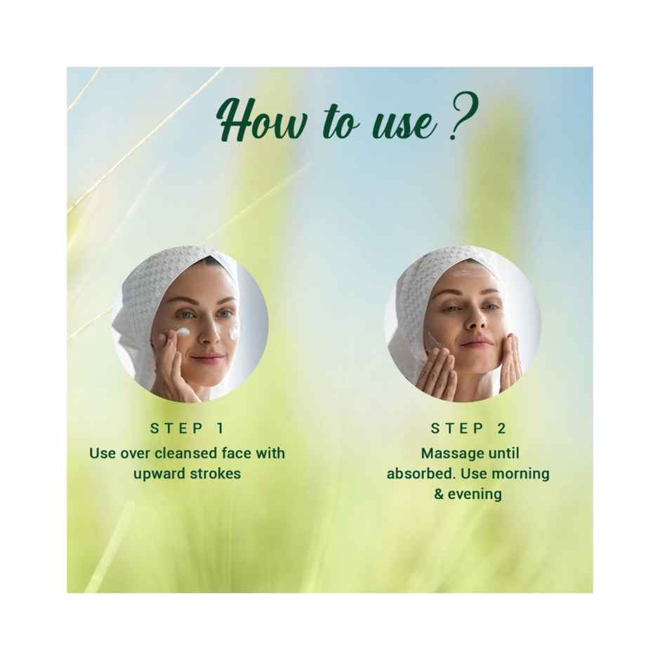 Biotique Wheatgerm Anti-Ageing Night Cream