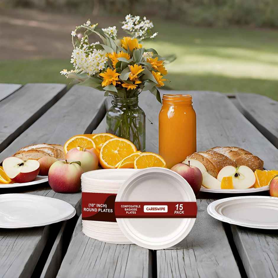 Disposable Round Plate | 10 inch | 15 pcs | Careswipe