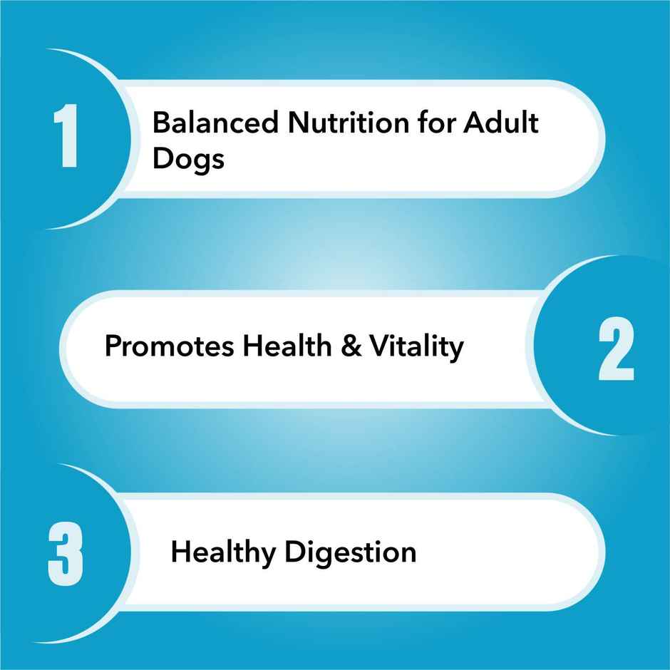 Purepet Chicken | VEG Adult Dog FOOD