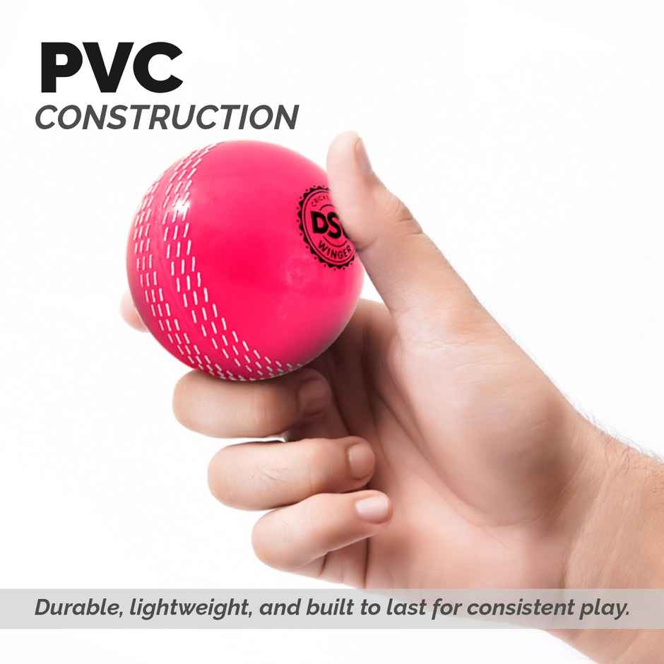 DSC Winger i10 Windball Cricket Pink
