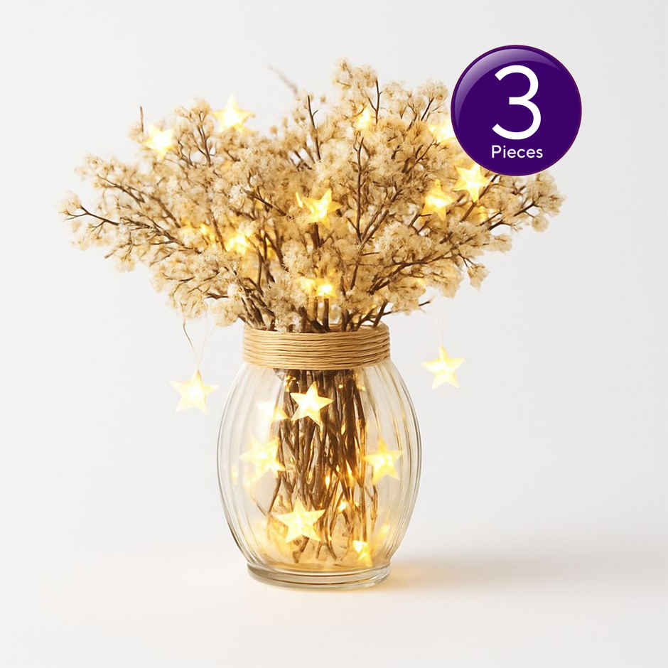 Desidiya Decorative Led String Lights With 20 Stars | Warm White | Starry Night Combo | 4 m