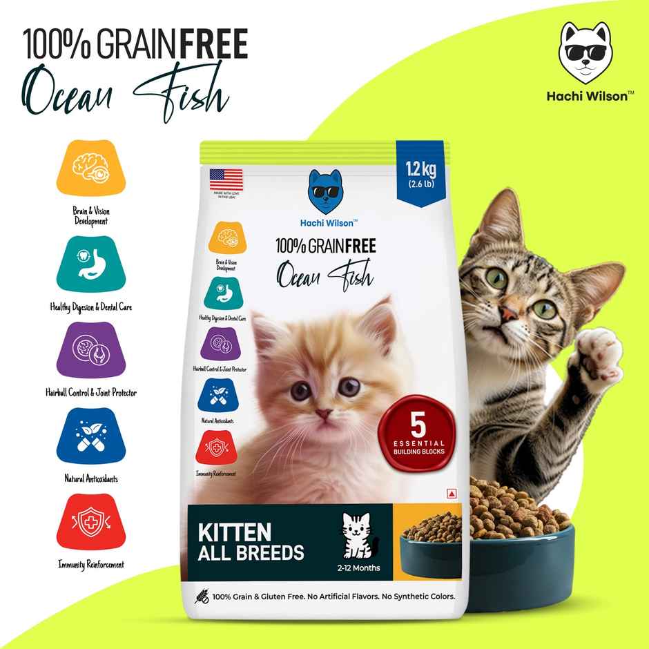 Hachi Wilson Premium Kitten Dry Food | Ocean Fish Flavours