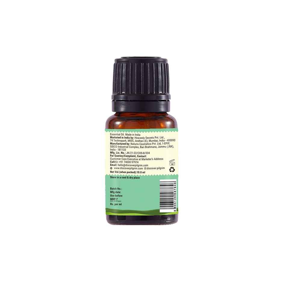 Pilgrim Spanish Rosemary Essential Oil
