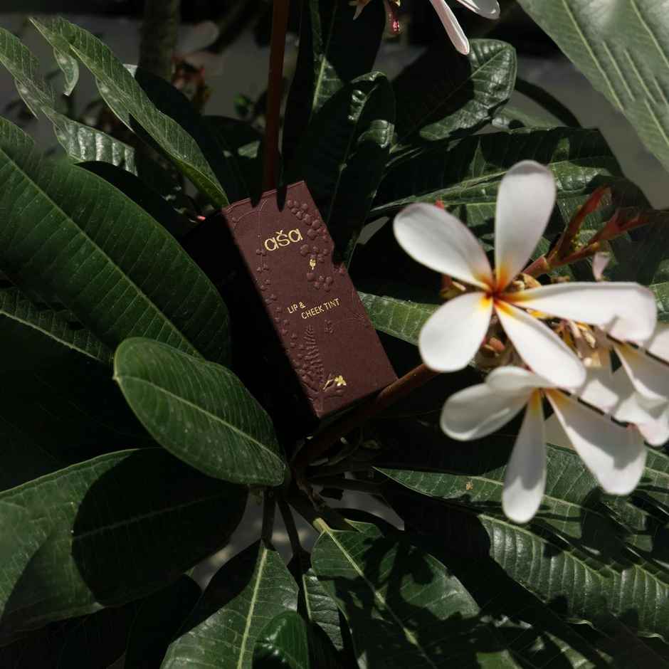 asa Beauty Lip & Cheek Tint Luscious Apricot