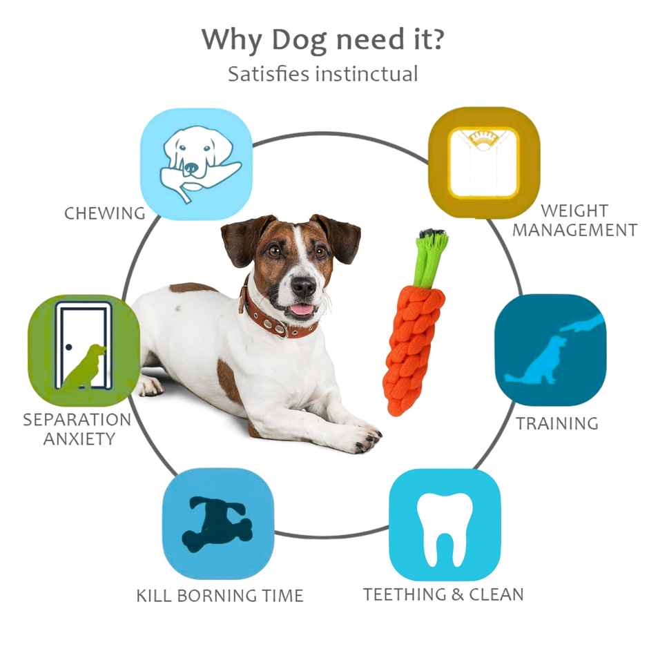 Payton Perry Dog Carrot Rope Chew Toy | Dental Cleaning | Fun - Red