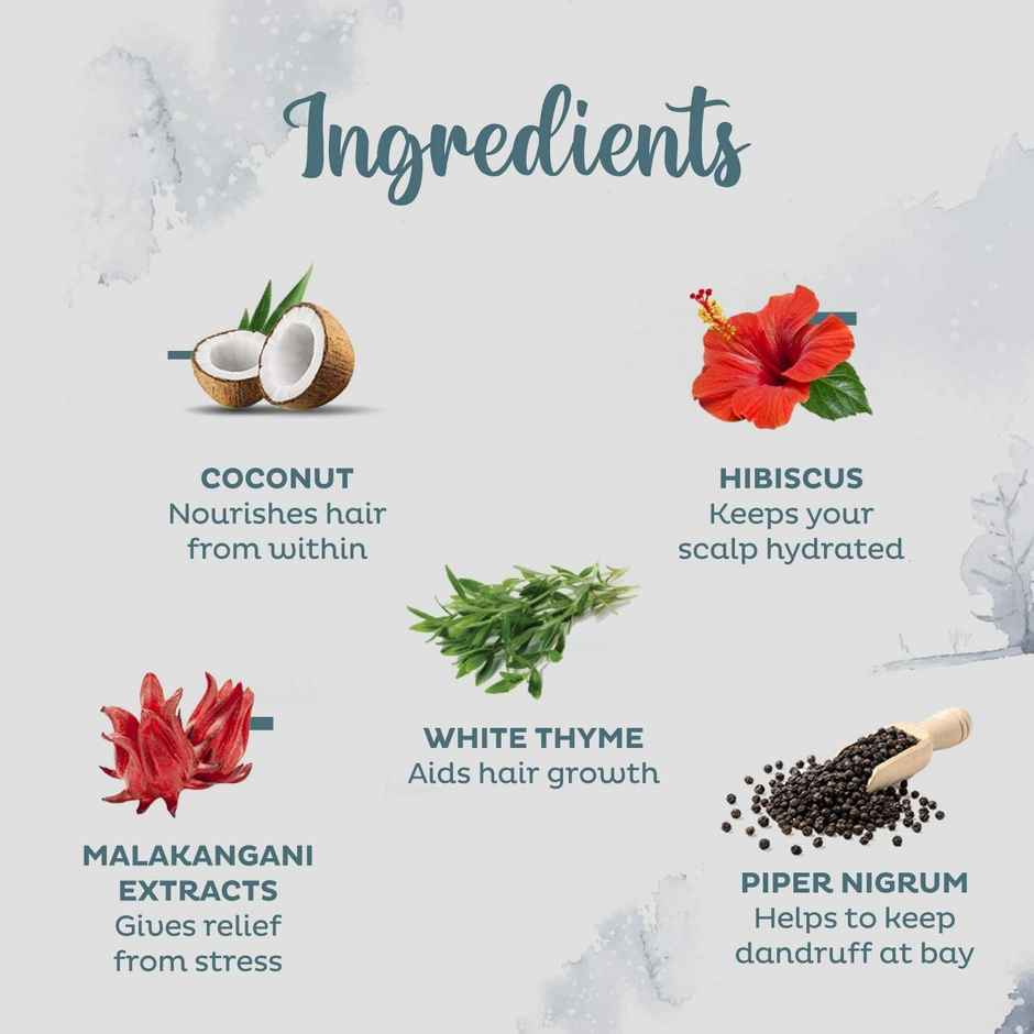 Parachute Advansed Ayurvedic Hot Oil Warming Coconut Hair Oil