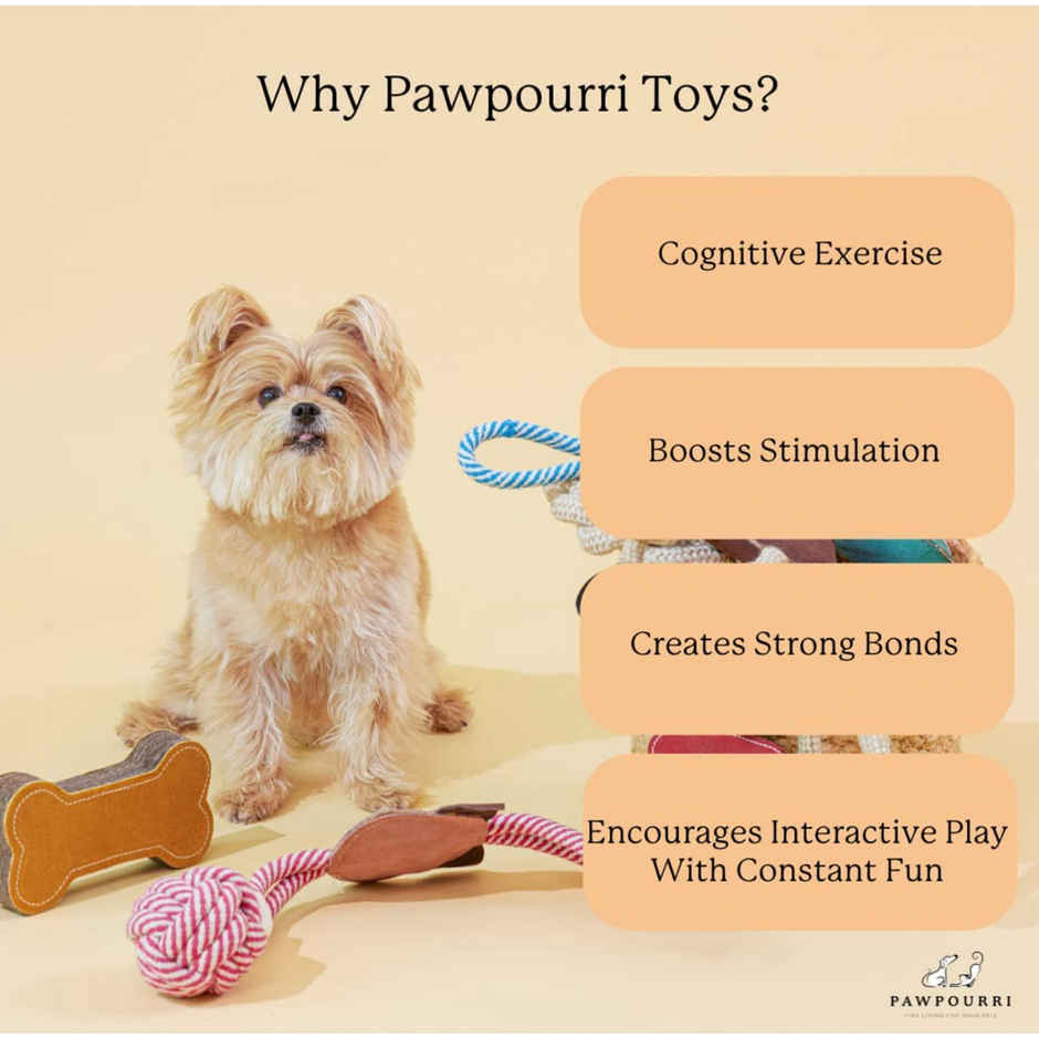 Pawpourri Squirrel Suede and Rope dog Toy