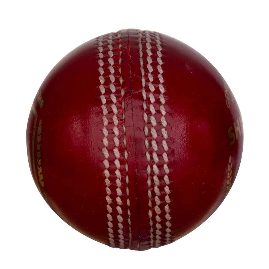 SG Shield 20 Leather Ball (Red)